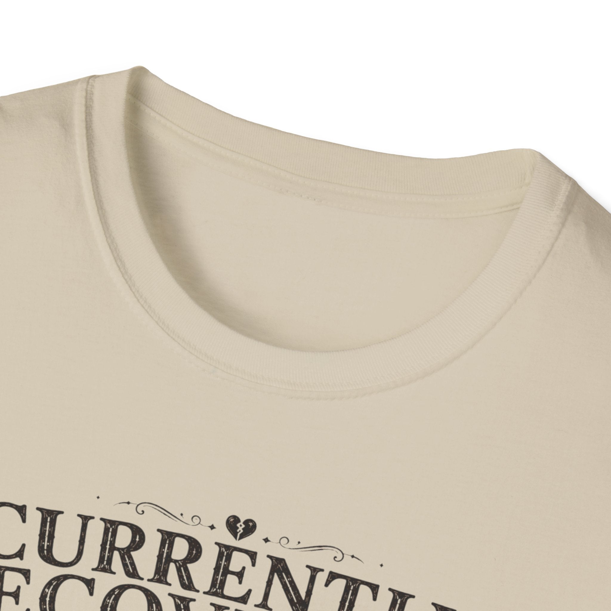 Currently Recovering from a Fictional Breakup T-Shirt